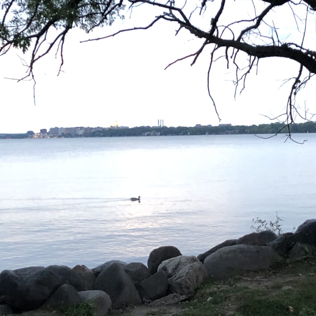 Meeting at Olbrich Park