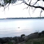Meeting at Olbrich Park